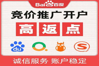 百度SEO推广公司经典之作：打造行业领先品牌