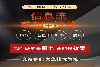 行业领先SEM服务公司案例研究